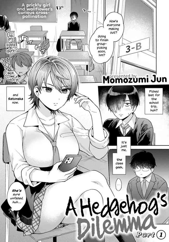 A Hedgehog's Dilemma, Part 1 cover
