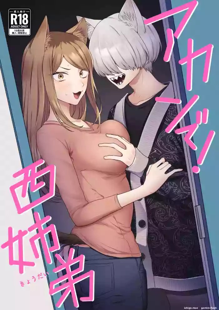 Akan de! Nishi Kyoudai cover