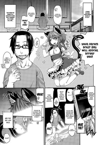 Beast Girl Communications ~Catgirl Nia~ cover