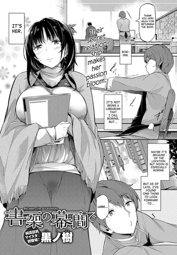 Between the Bookshelves cover