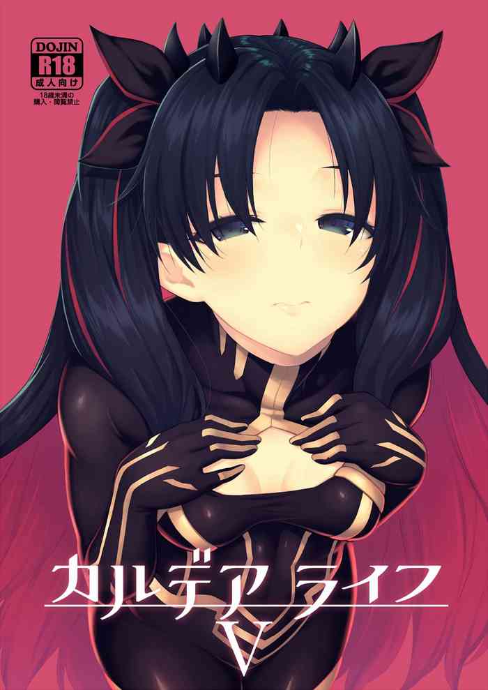 Chaldea Life V cover