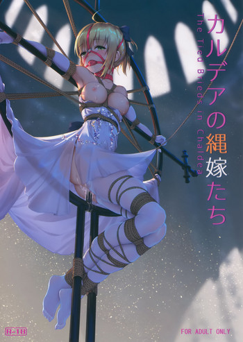 Chaldea no Nawa Yome-Tachi cover