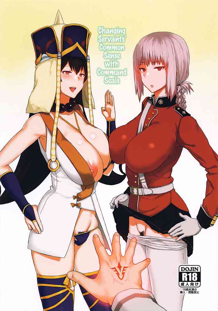 Changing Servants' Common Sense with Command Seals cover