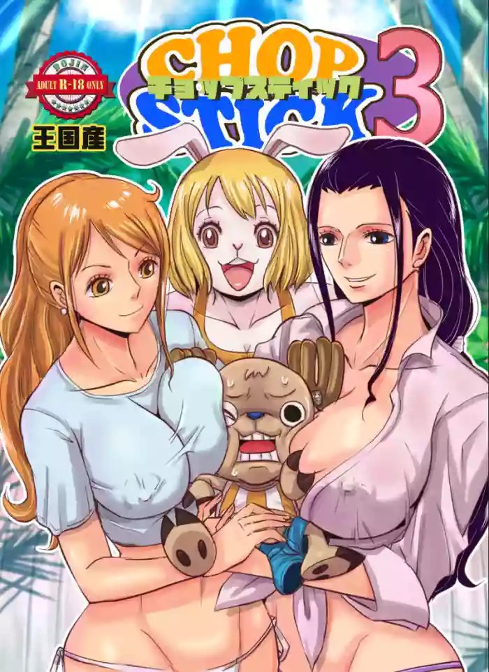 CHOP STICK3 cover