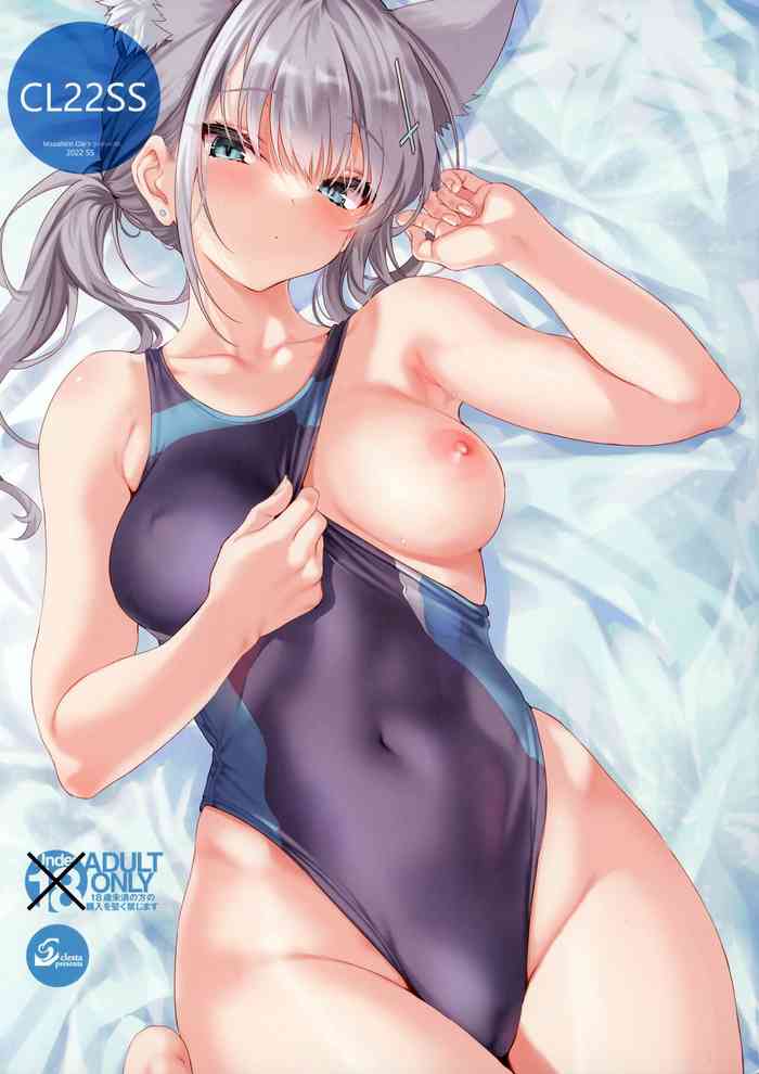 CL22SS cover