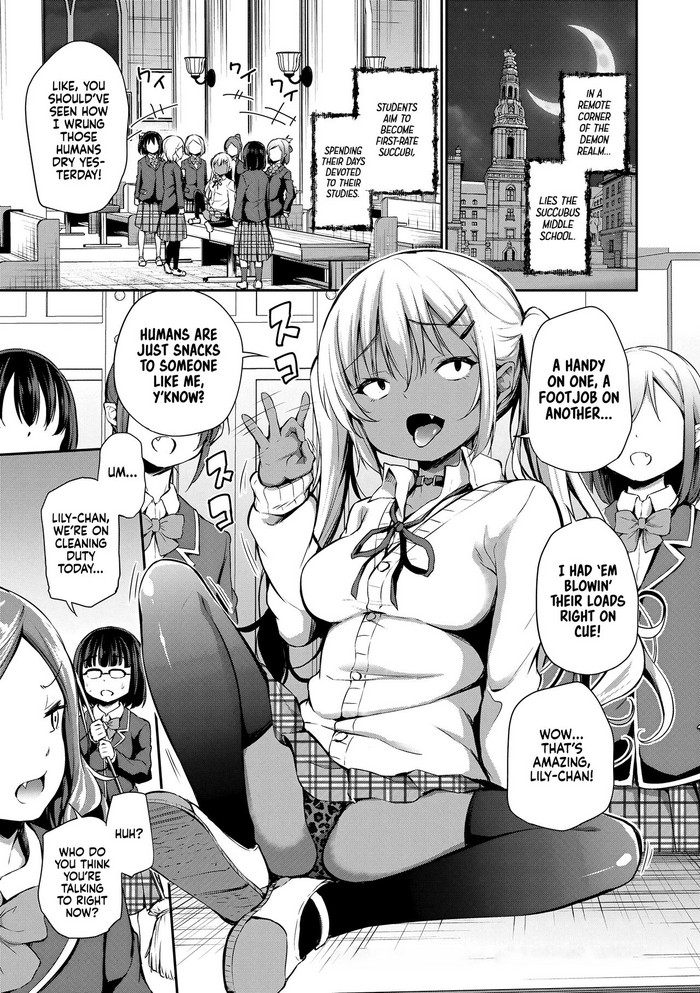 Clumsy Succubus Lily-chan's Catastrophe cover
