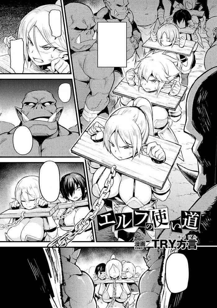 Elf no Tsukaimichi cover