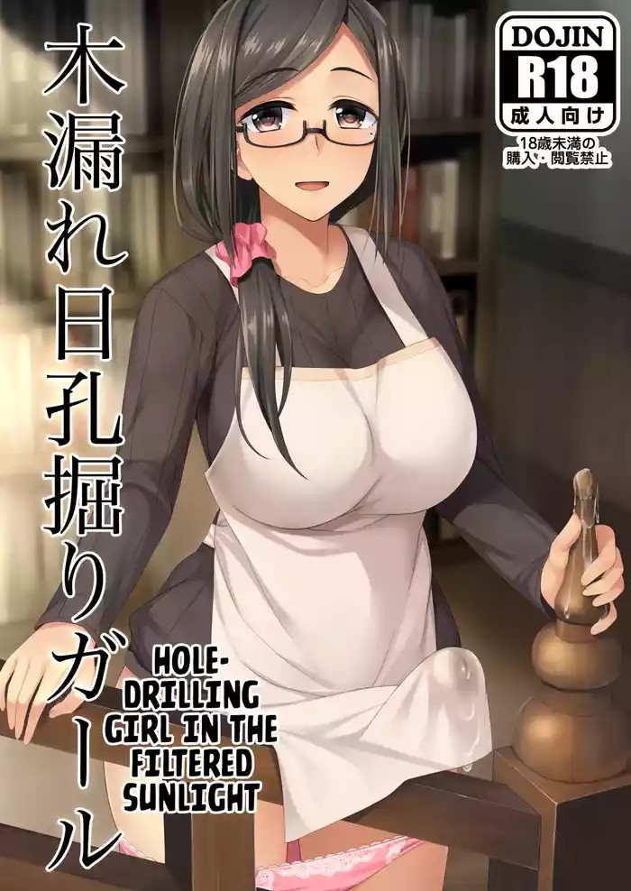 Hole-drilling Girl In the Filtered Sunlight cover