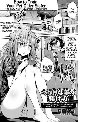 How to Train Your Pet Older Sister cover