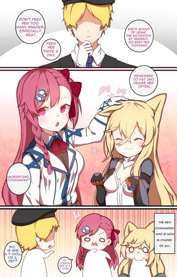 How to use dolls 04 cover