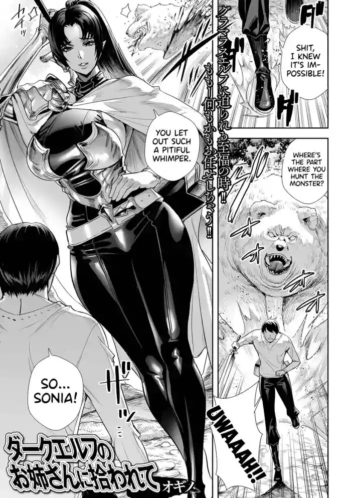 I Was Picked Up By Miss Dark Elf cover
