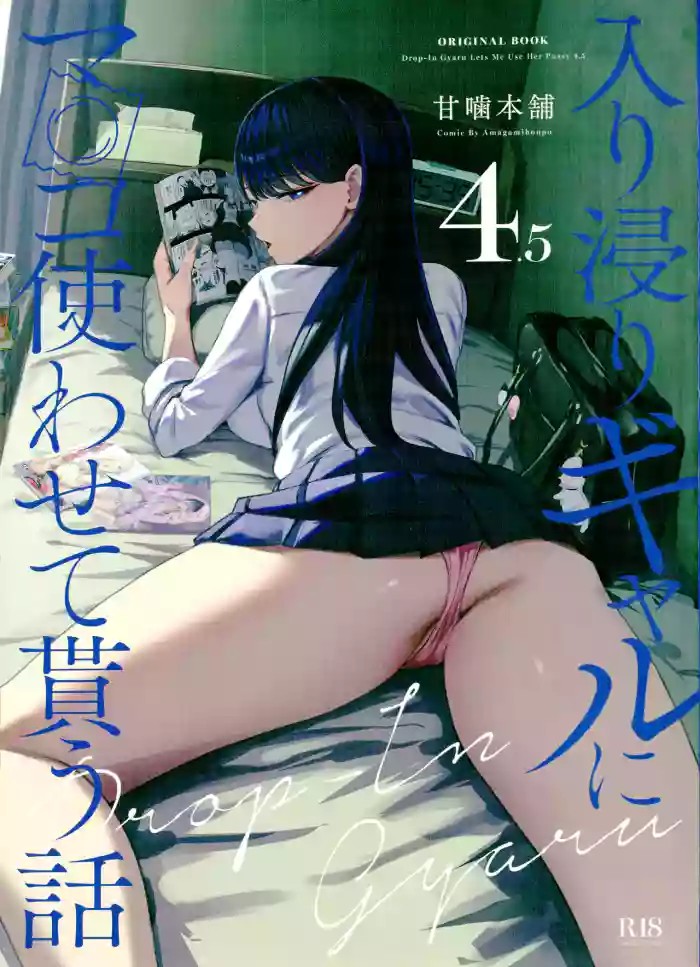 Iribitari Gal ni Manko Tsukawasete morau Hanashi 4.5 - Drop-In Gyaru Let's Me Use Her Pussy 4.5 cover