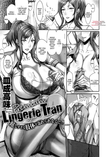 Lingerie Trap cover