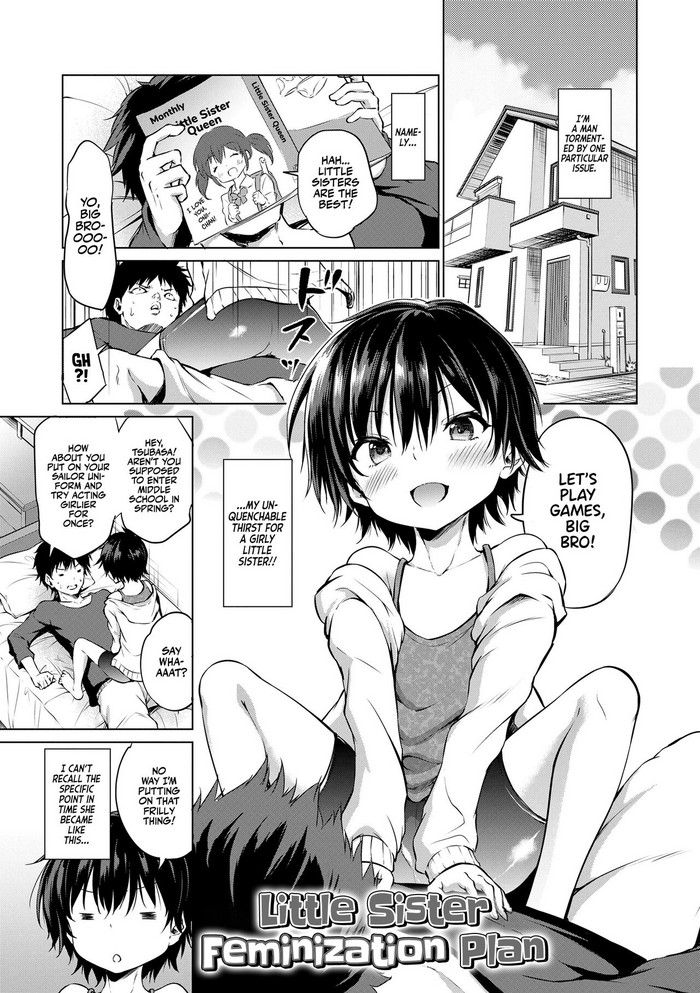Little Sister Feminization Plan cover