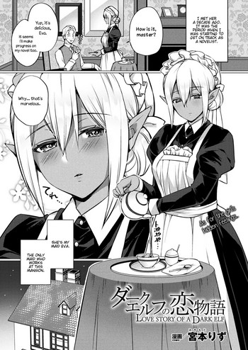 Love Story Of A Dark Elf cover