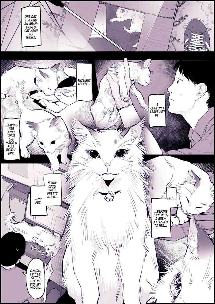 Neko cover