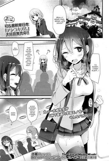 Pet or Slave - The case of Meike Misaki cover