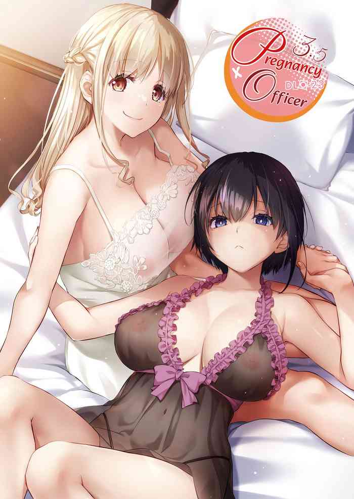 Pregnancy Officer 3.5 DLO-23 cover