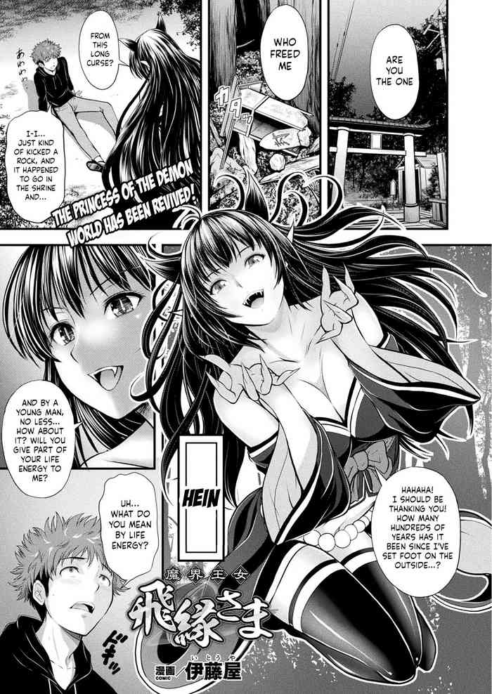 Princess of the Demon World - Hien-sama cover