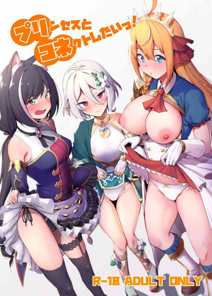 Princess to Connect Shitai! cover
