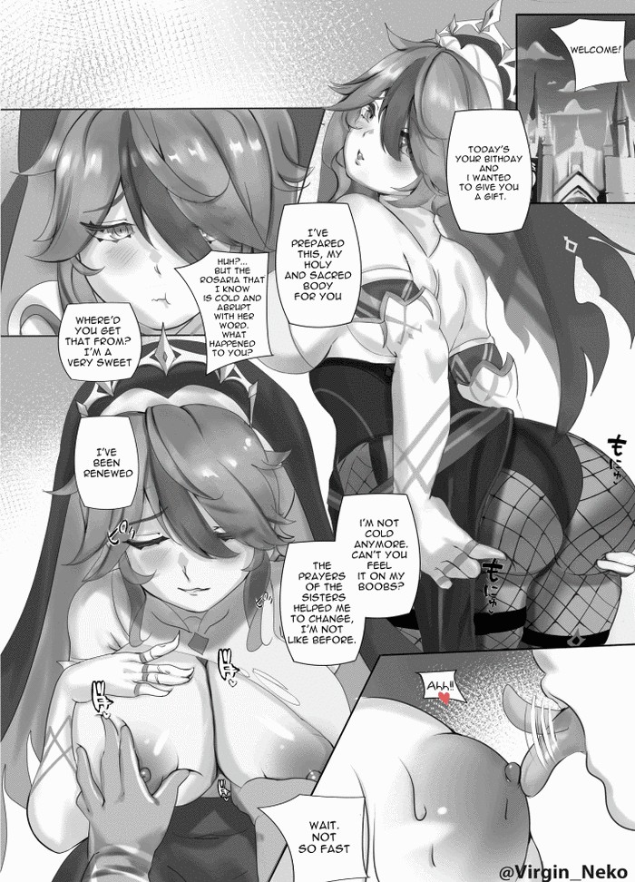 Rosaria's birthday gift cover