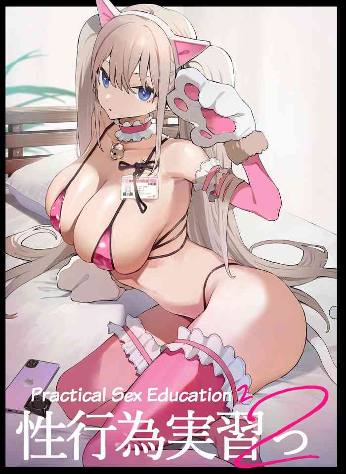 Seikoui Jisshuu 2 cover