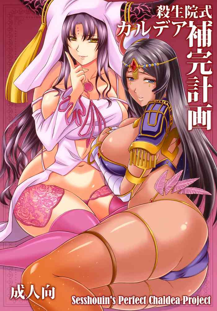 Sesshouin's Perfect Chaldea Project cover