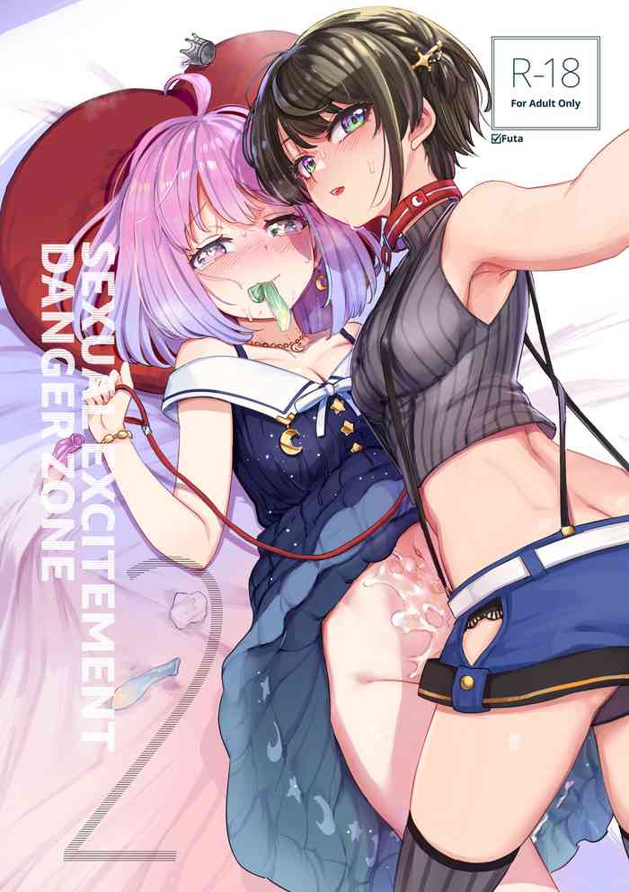 Sexual Excitement Danger Zone 2 cover