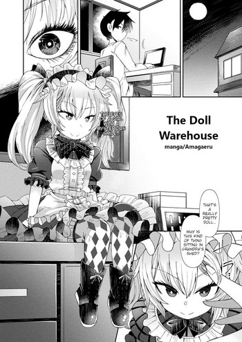 The Doll Warehouse cover