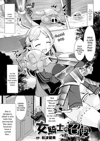 The Servant of the Lady Knight + Extra cover