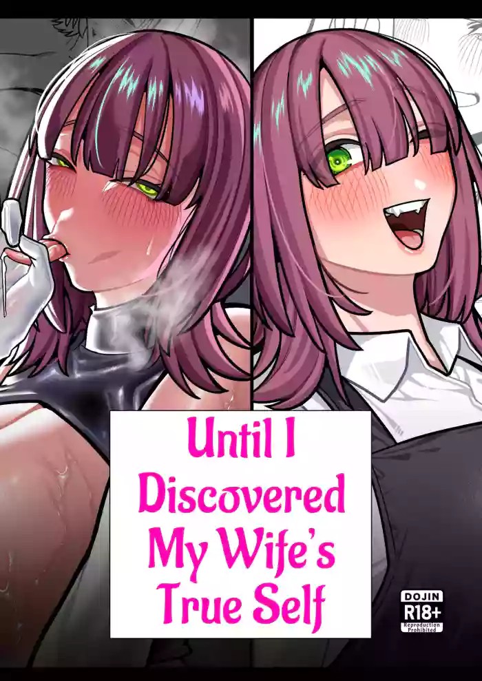 Until I Discovered My Wife's True Self ~Flashback: Naughty Moments with My Wife~ cover