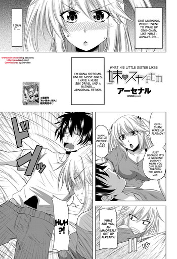 What His Little Sister Likes cover