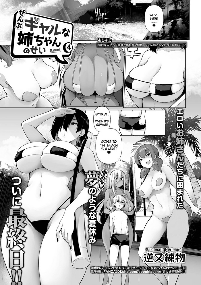 Zenbu Gal na Nee-chan no Sei 4 cover