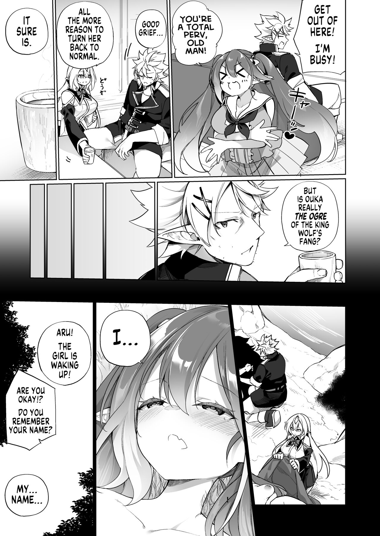 A Bandit Chief Who Turned Into a Bratty Elf Girl 2 Elvification Drug part 3 page 5
