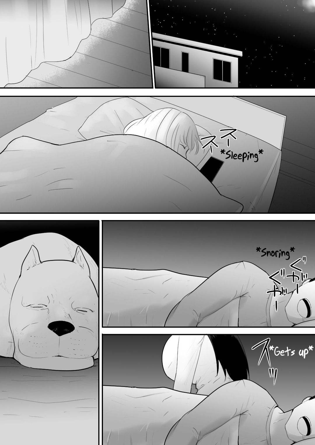 A Pet Came to Our House page 13