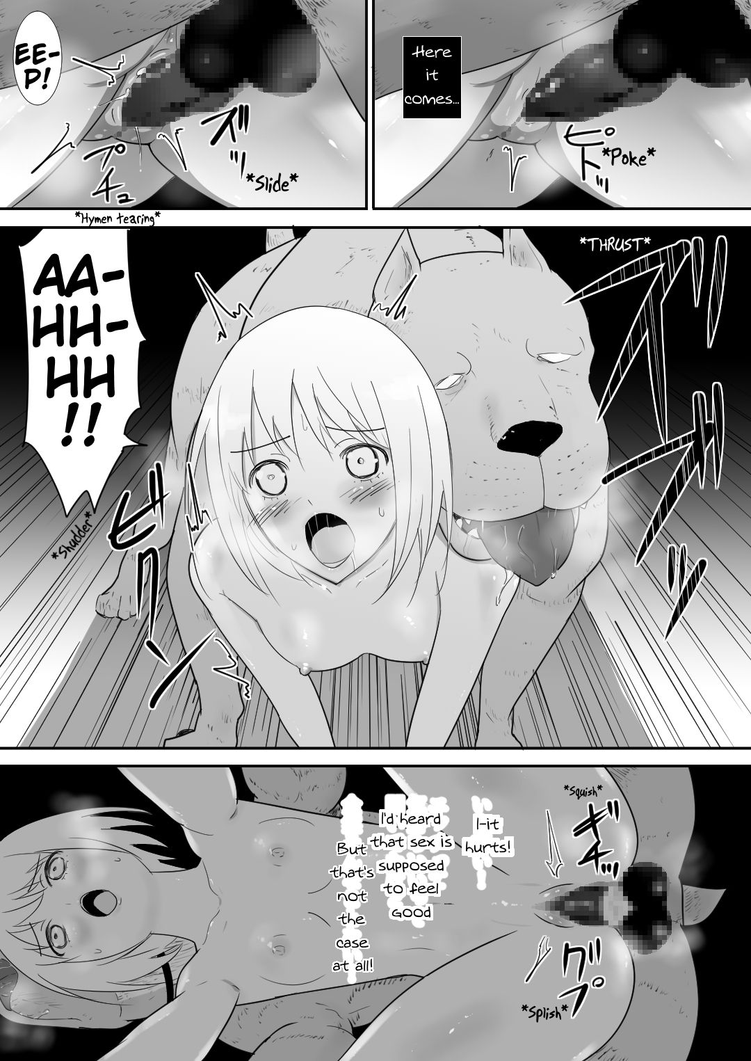 A Pet Came to Our House page 39