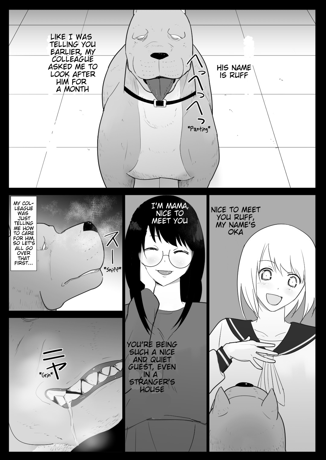 A Pet Came to Our House page 4