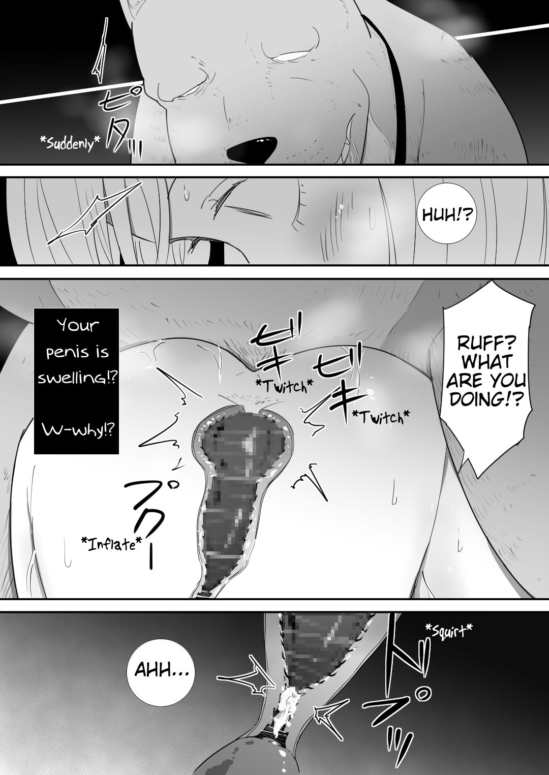 A Pet Came to Our House page 43