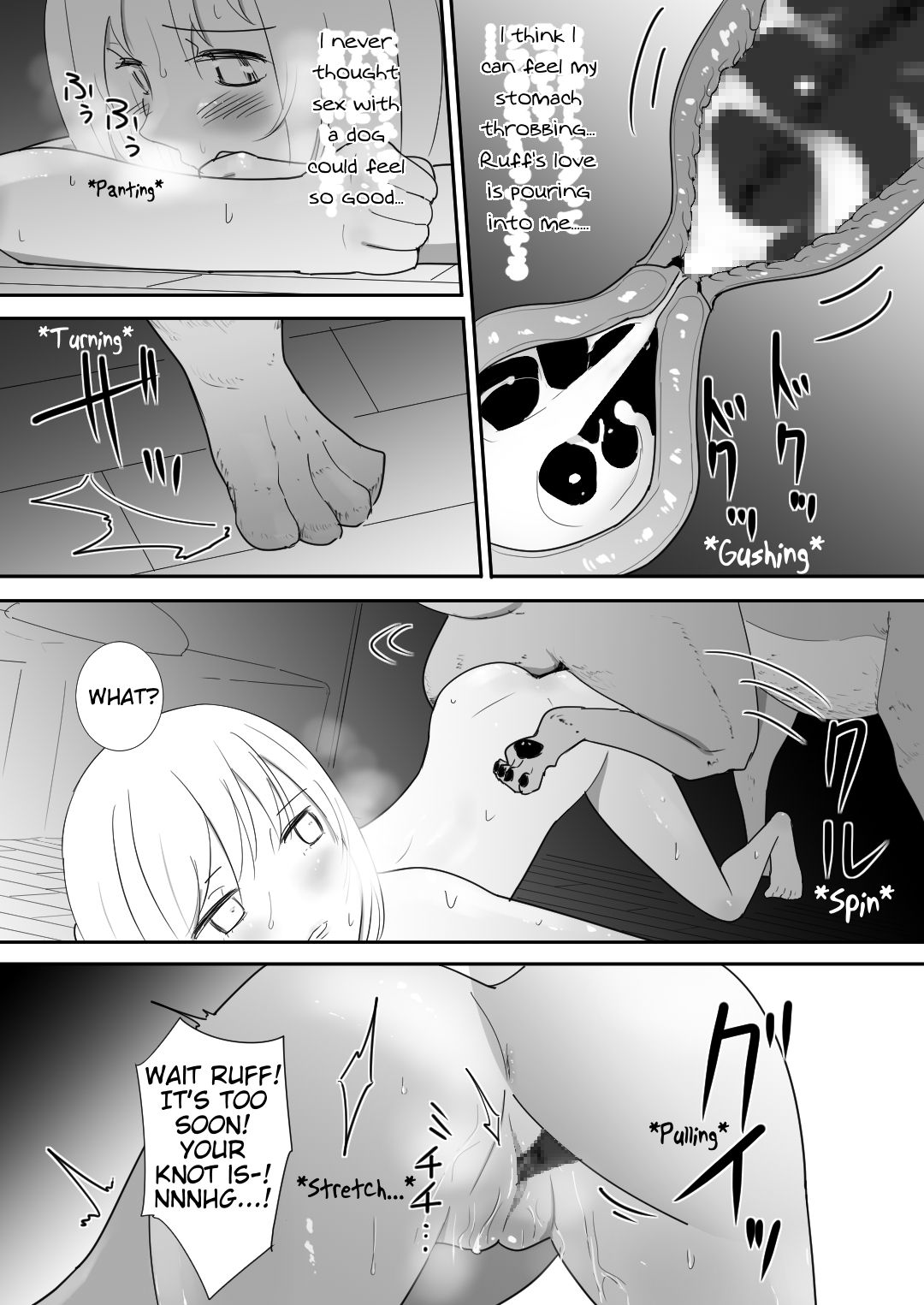 A Pet Came to Our House page 45
