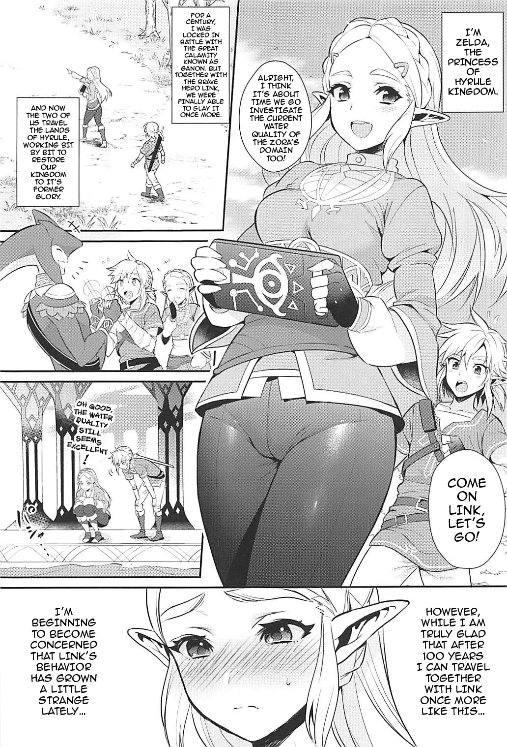 Activities for the Sake of Hyrule’s Future! page 4