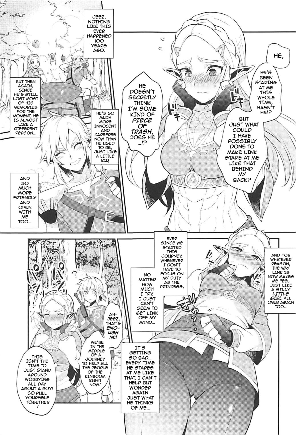 Activities for the Sake of Hyrule’s Future! page 6
