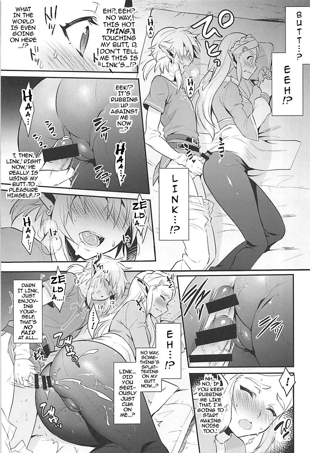 Activities for the Sake of Hyrule’s Future! page 8