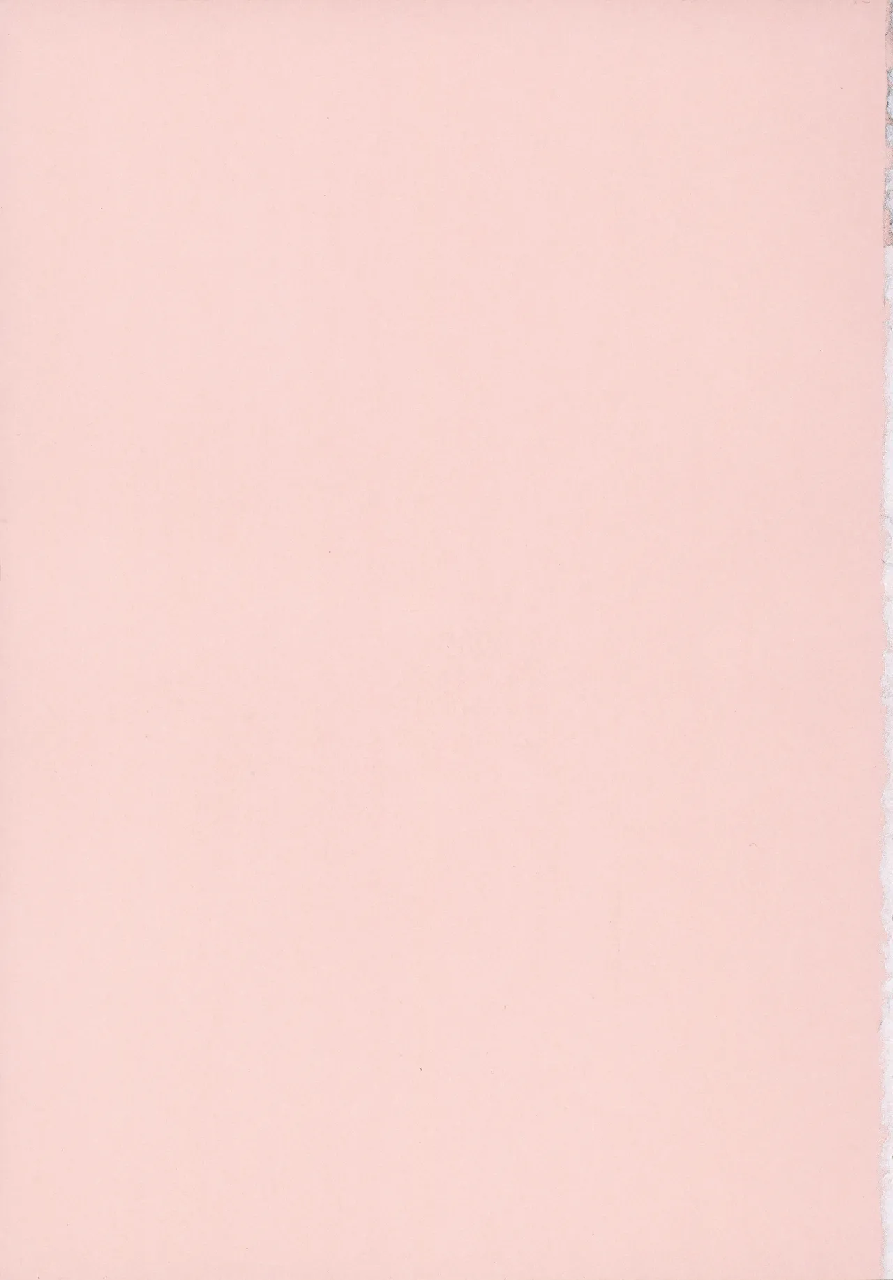 Amoral Island Jou + Melonbooks 8PLeaflet + ClearFile page 258