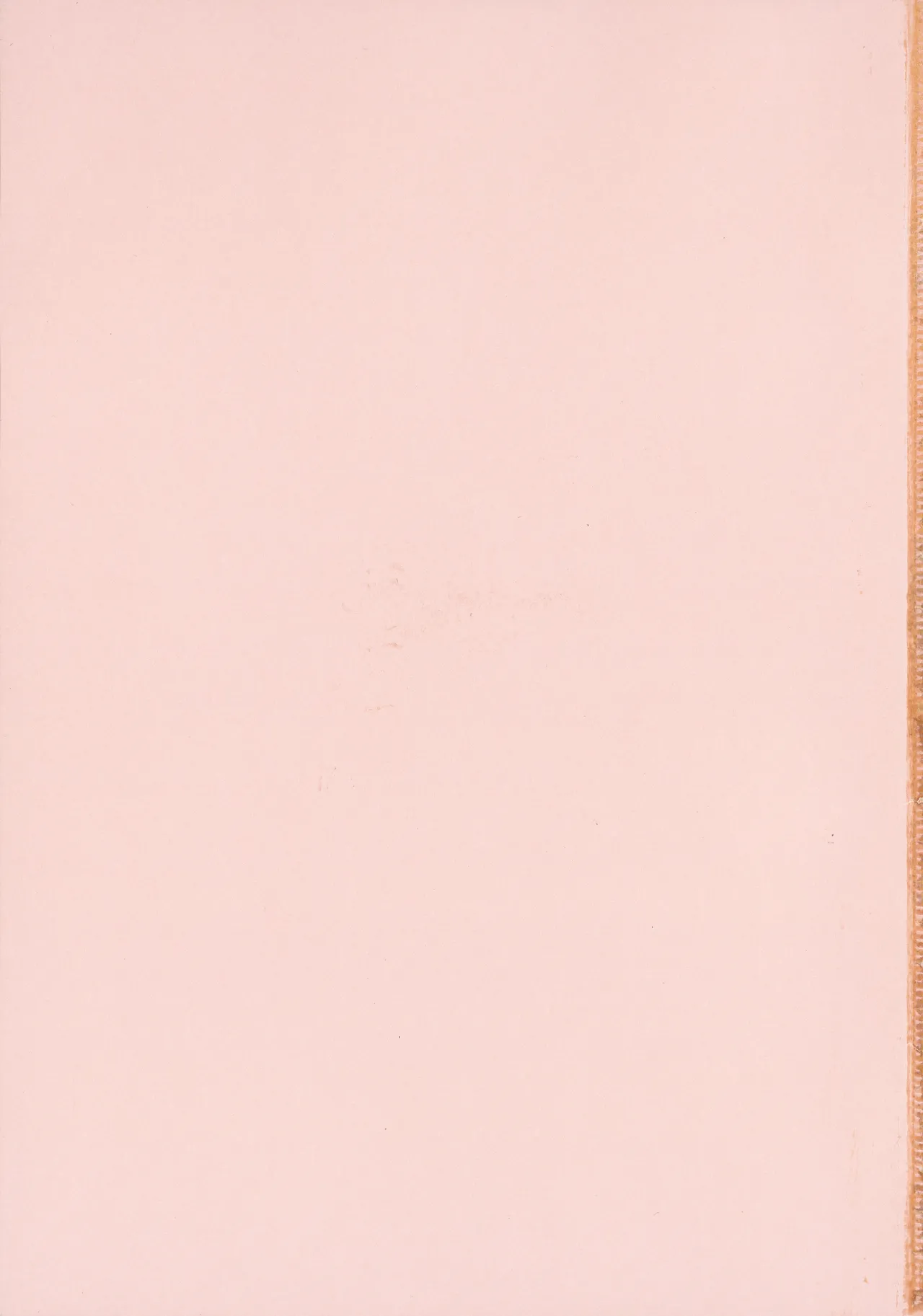 Amoral Island Jou + Melonbooks 8PLeaflet + ClearFile page 5