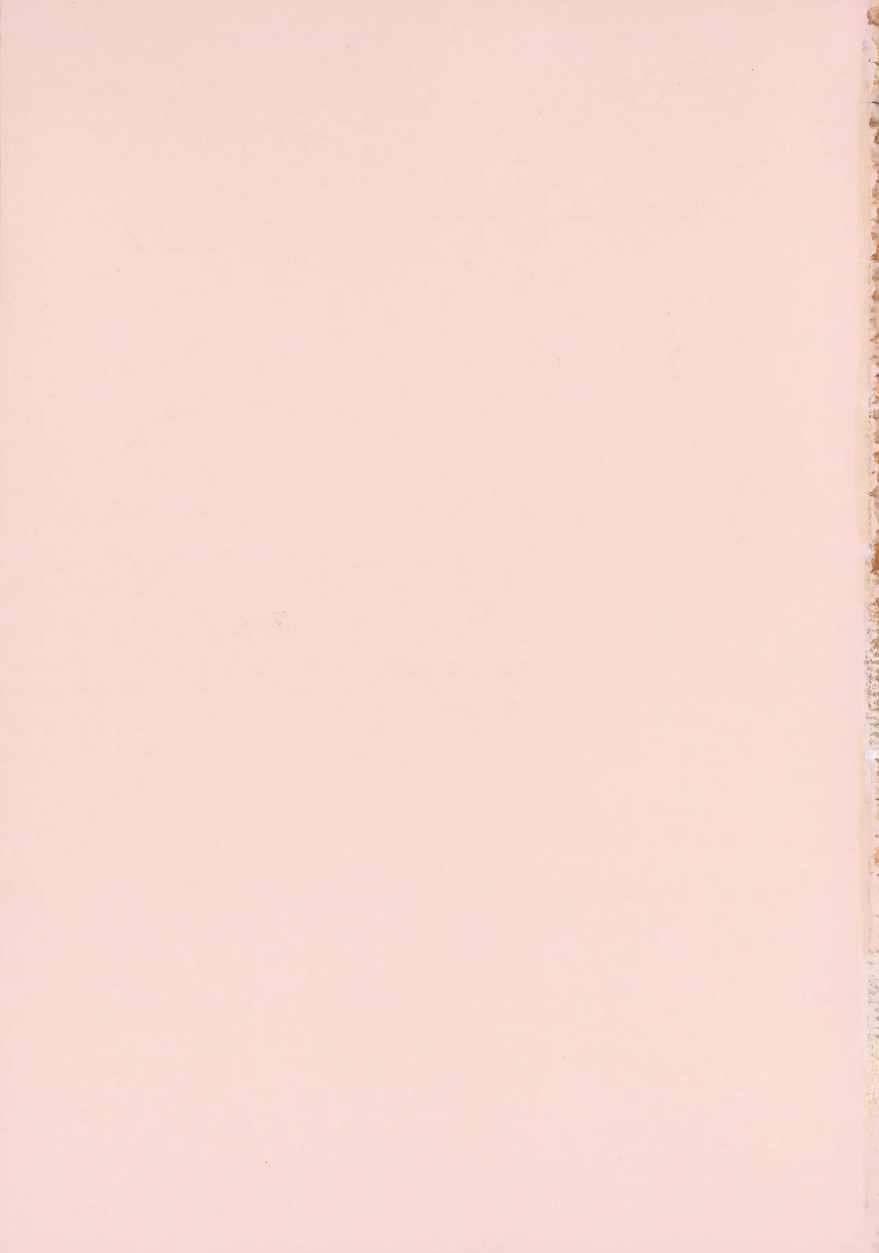 Amoral Island Jou + Melonbooks 8PLeaflet + ClearFile page 6