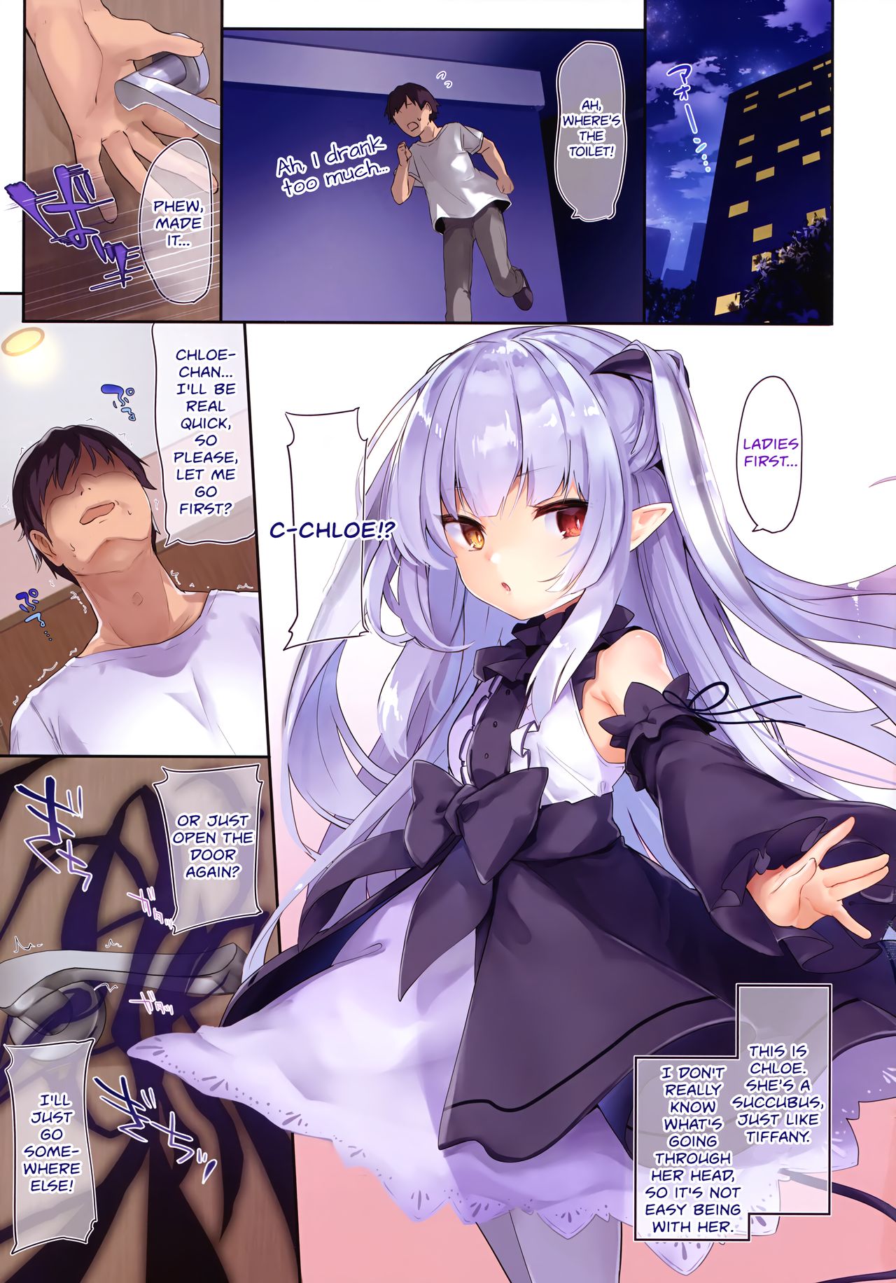 Boku wa Chiisana Succubus no Shimobe page 14