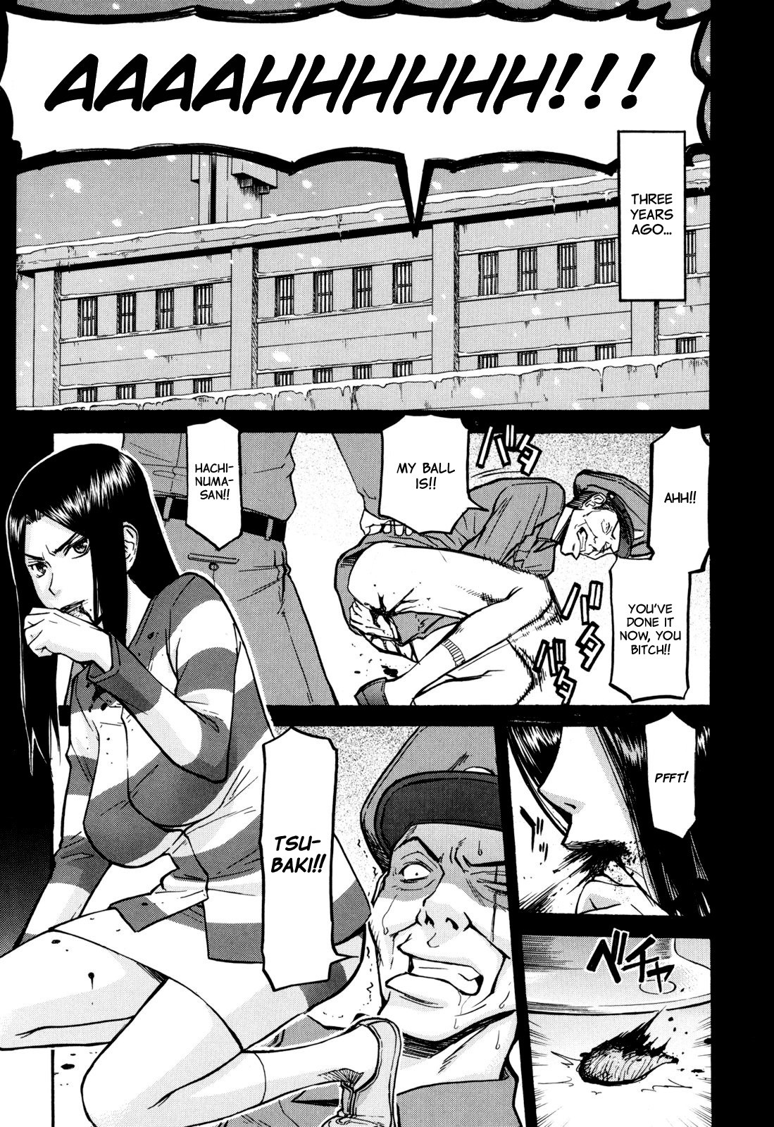 Camellia page 27