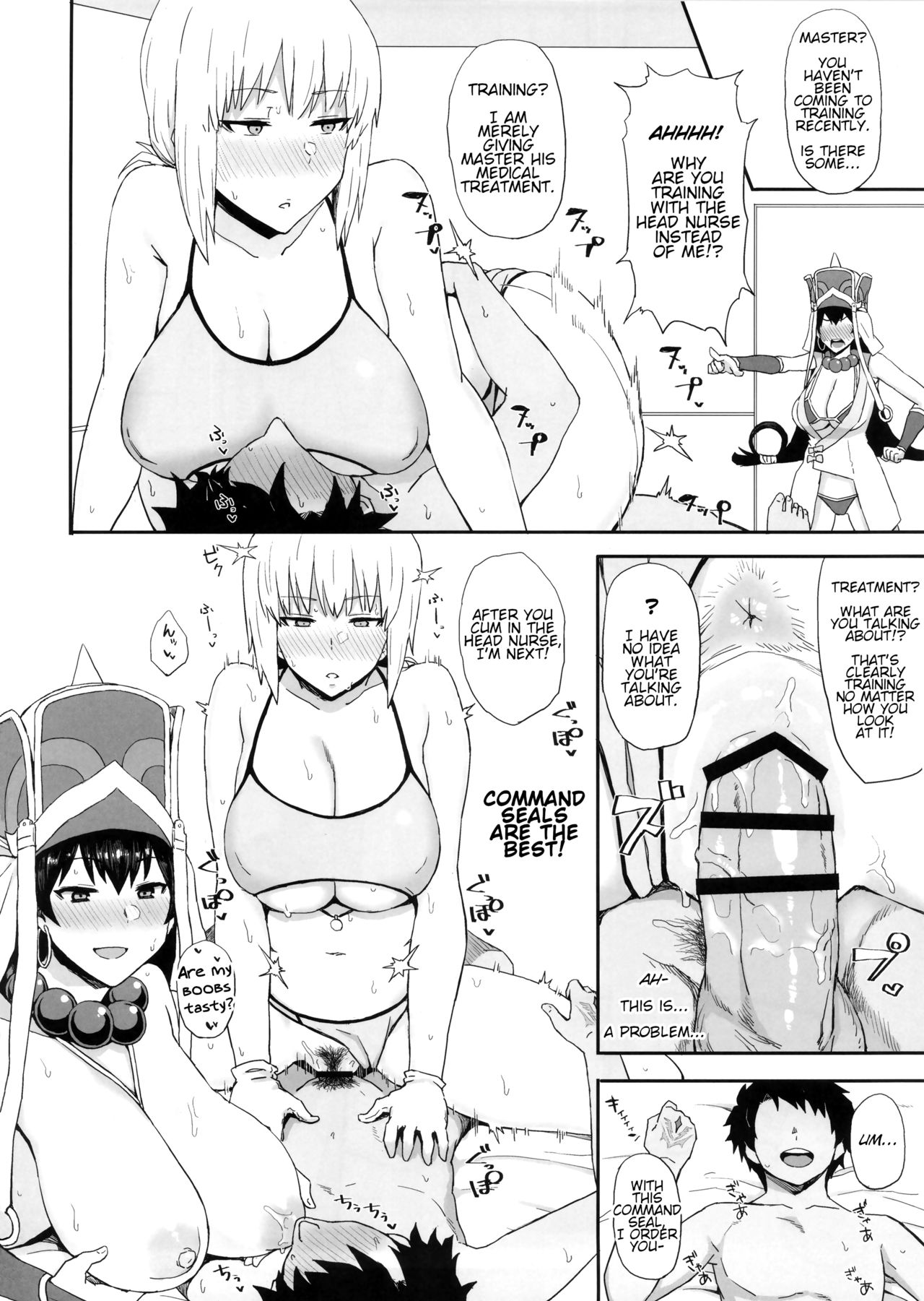 Changing Servants' Common Sense with Command Seals page 11