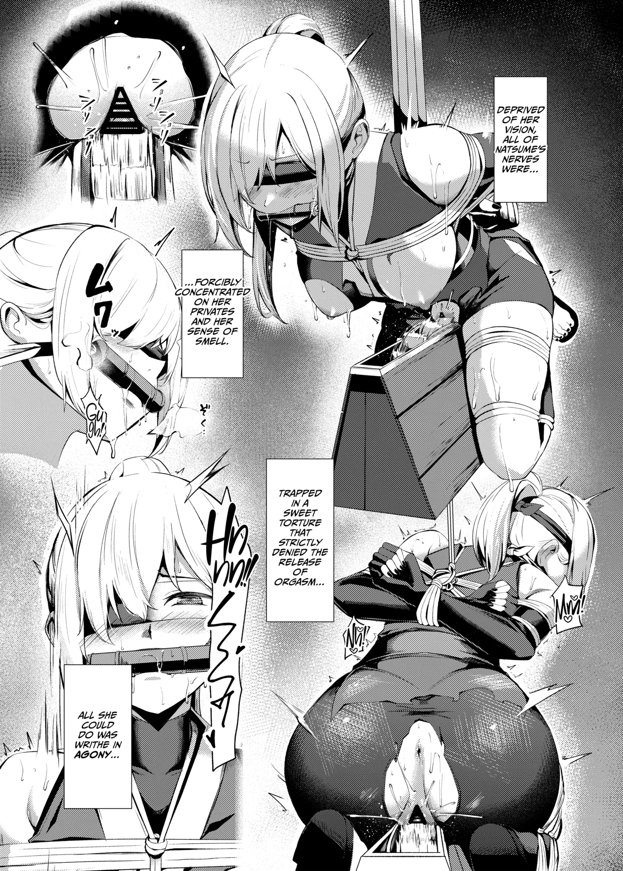 Choukyou Inroku ~Kunoichi Natsume no Junan~ -Record of her lewd discipline page 14