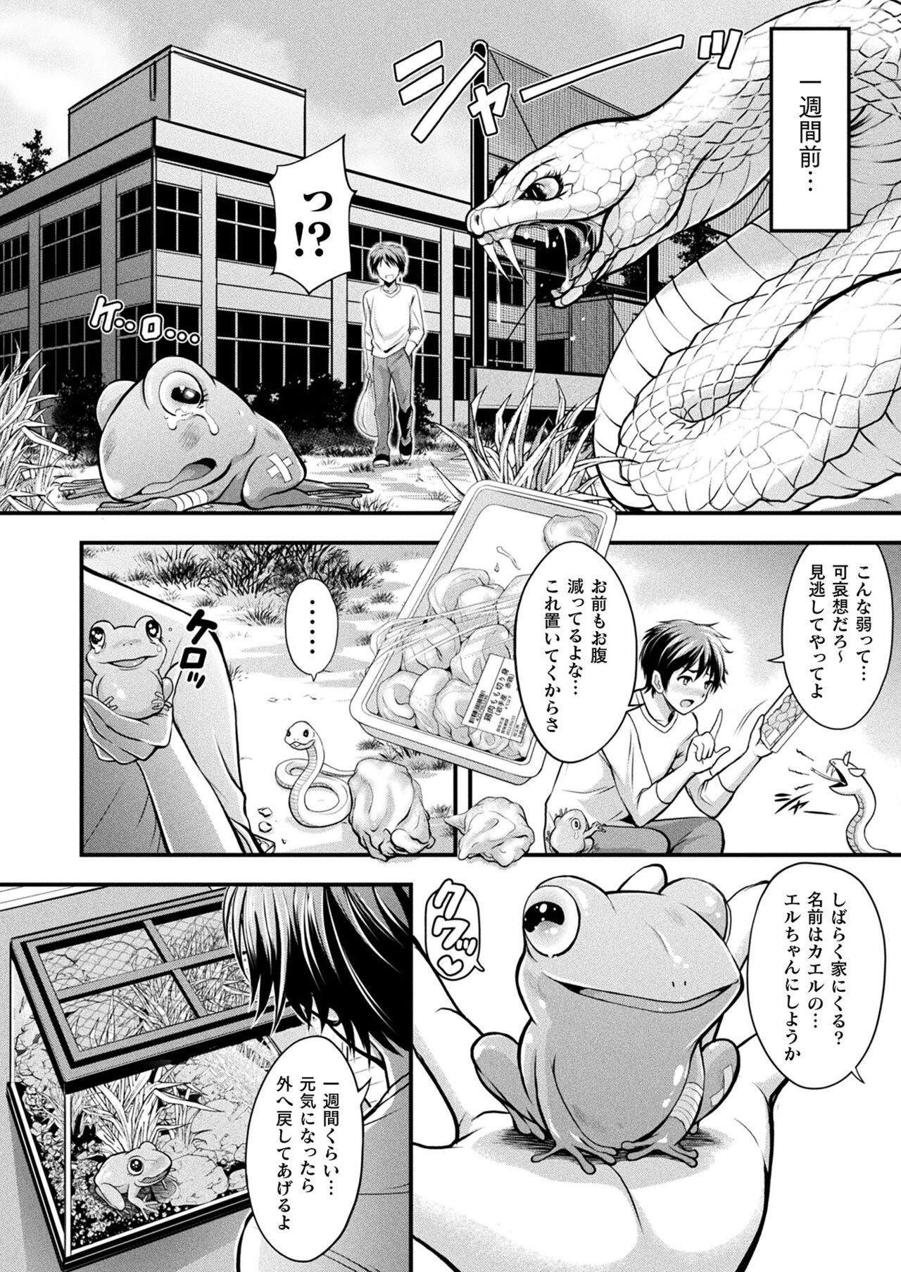 COMIC Unreal 2022-06 Vol.97 page 292